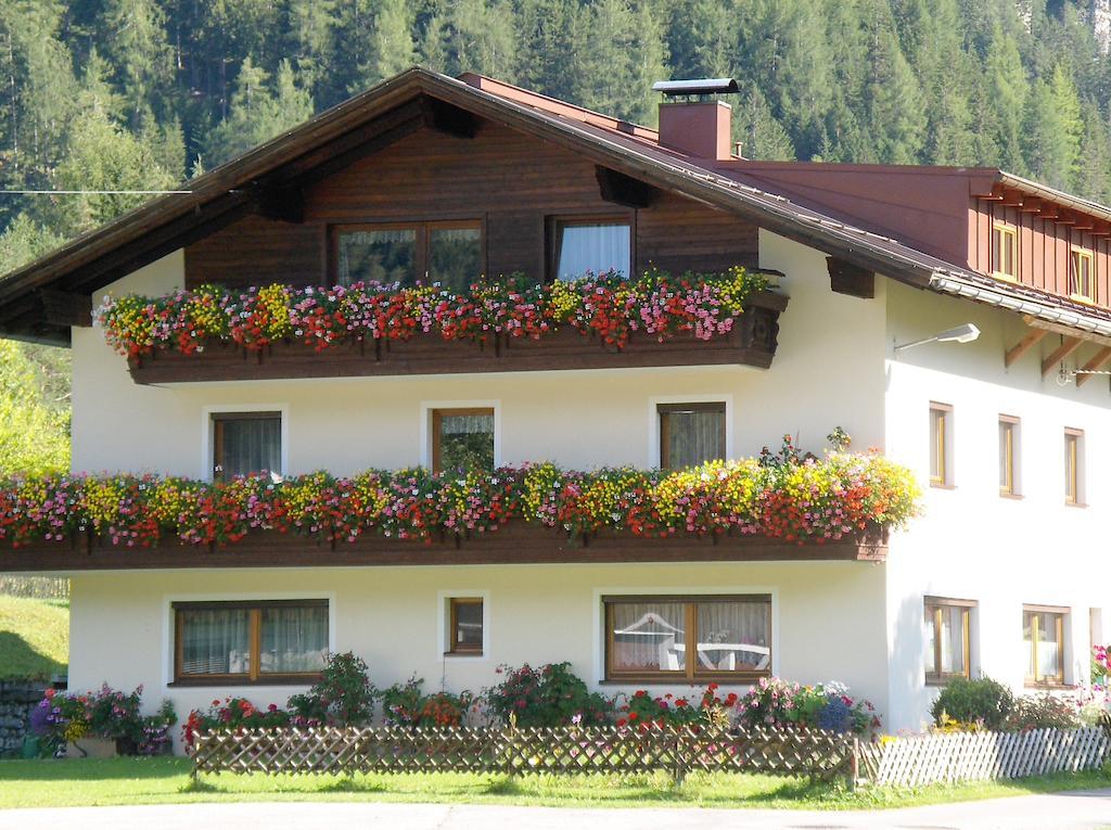 Sennhof Lechtal Bach (Tyrol)